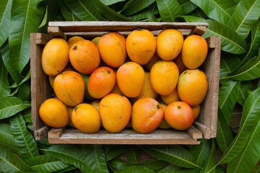 Premium Alphonso