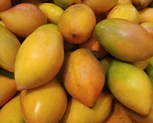 Kilimooku / Totapuri Mango